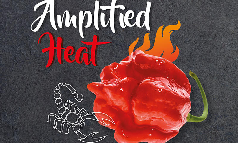 Amplified Heat - Spicy Seasonings